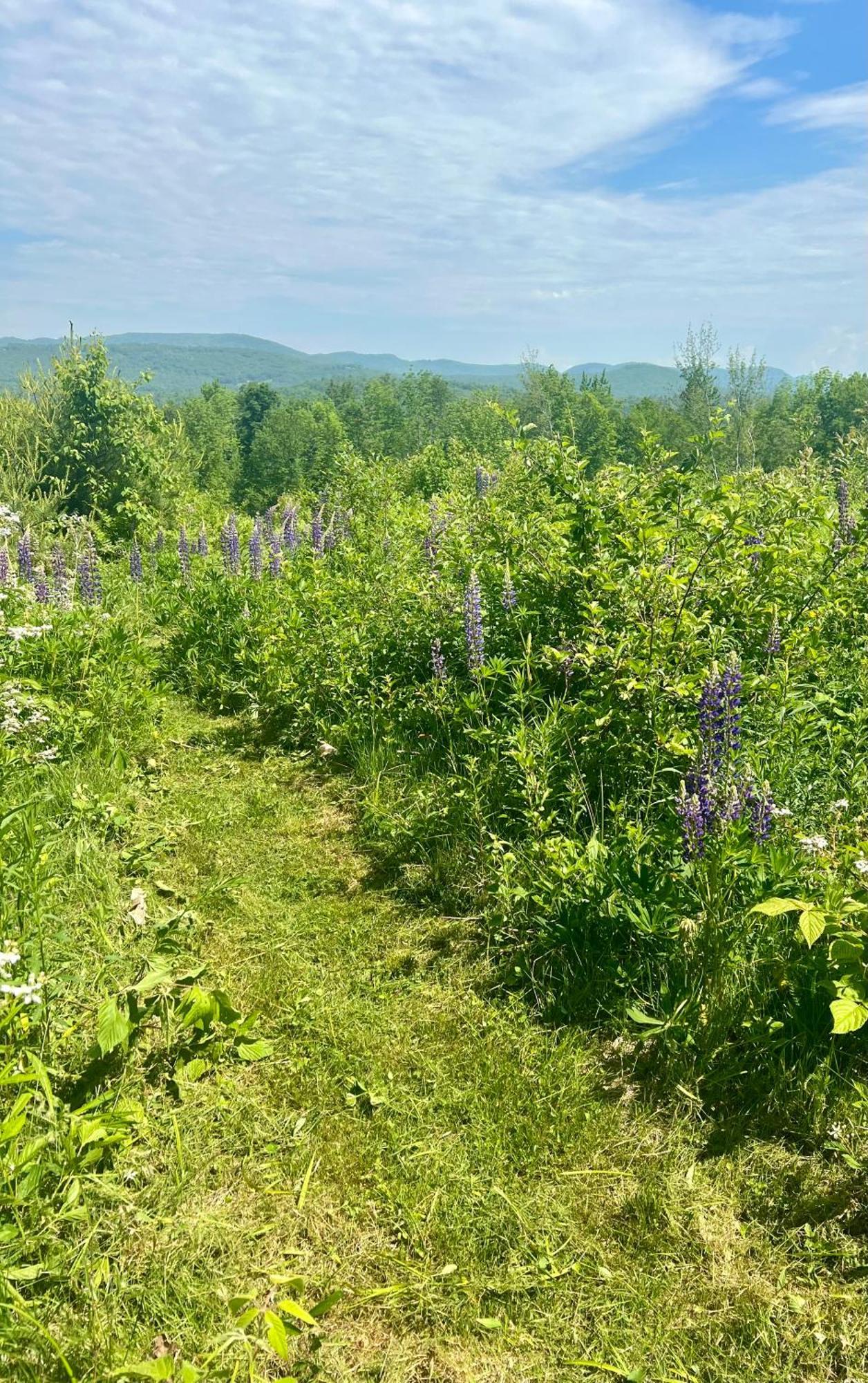 Adair Country Inn & Restaurant Витлеем Екстериор снимка